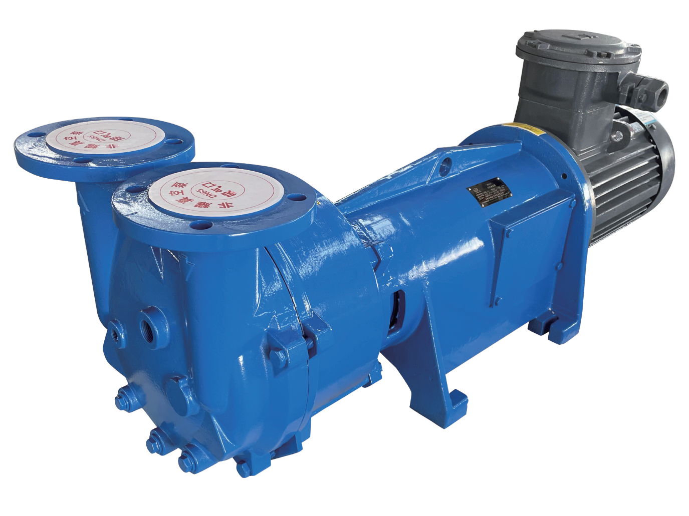 2BV6 Series Water Ring Vacuum Pump for Industrial Applications