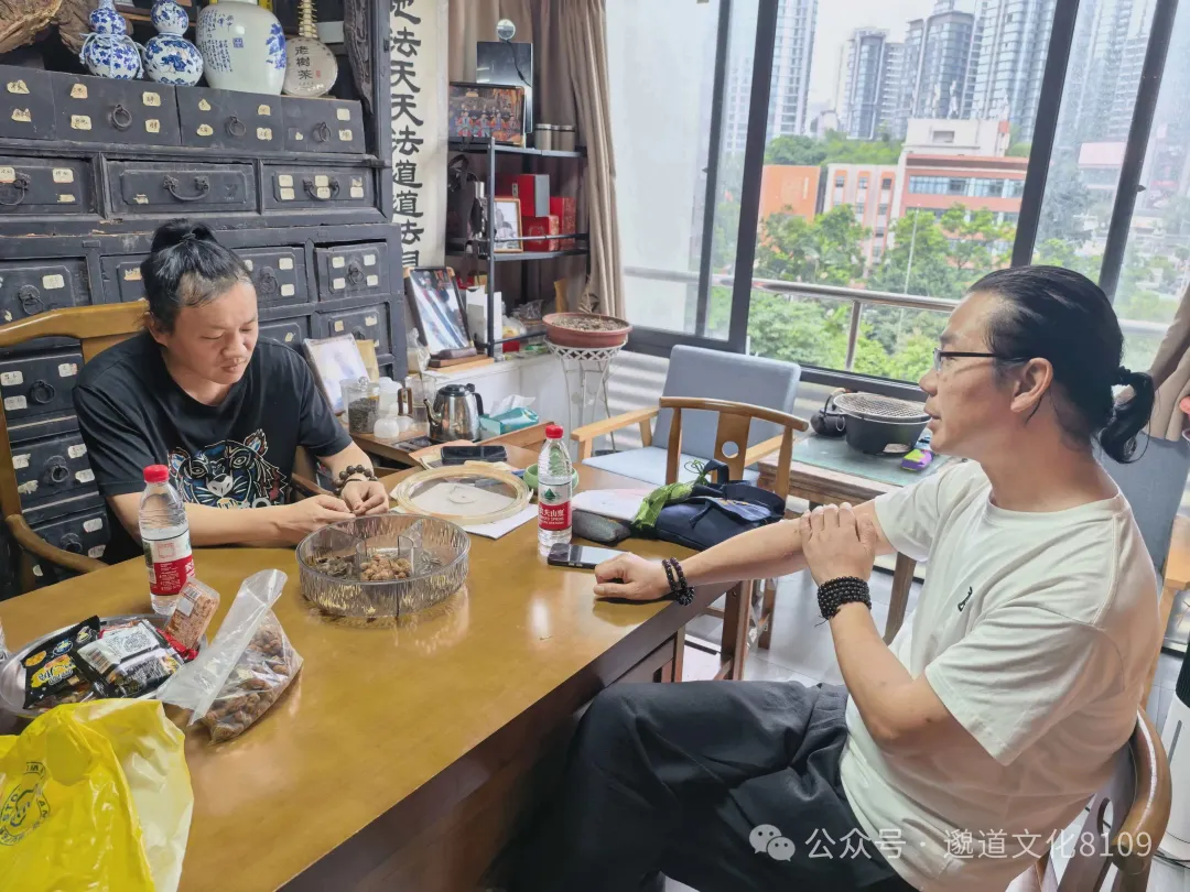 张子和医案讲解