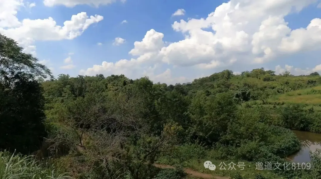 俯瞰宅旁山林水景砂水环抱