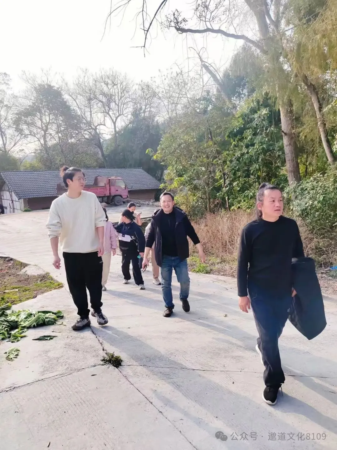 我的道士师父是中医至道医故事(二十一):小师叔的外婆起死回生之胜算