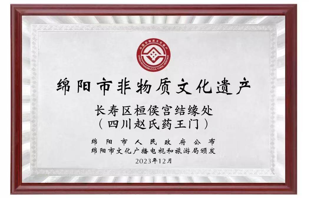 非遗传承纪录