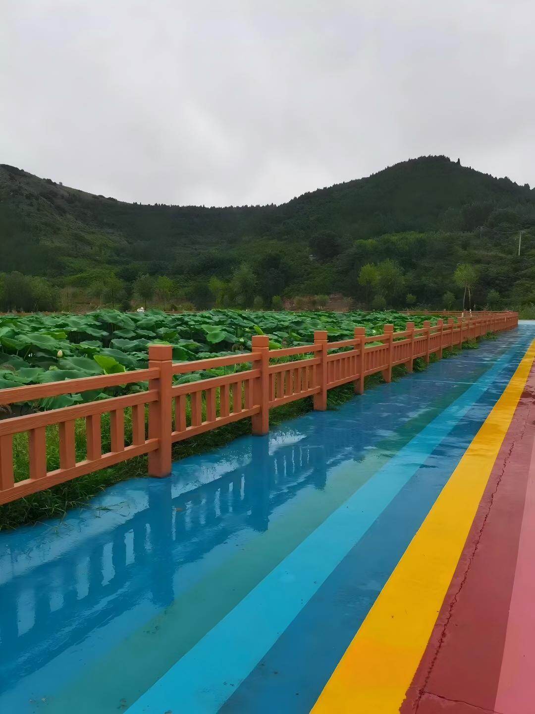 随县荷花池护栏项目