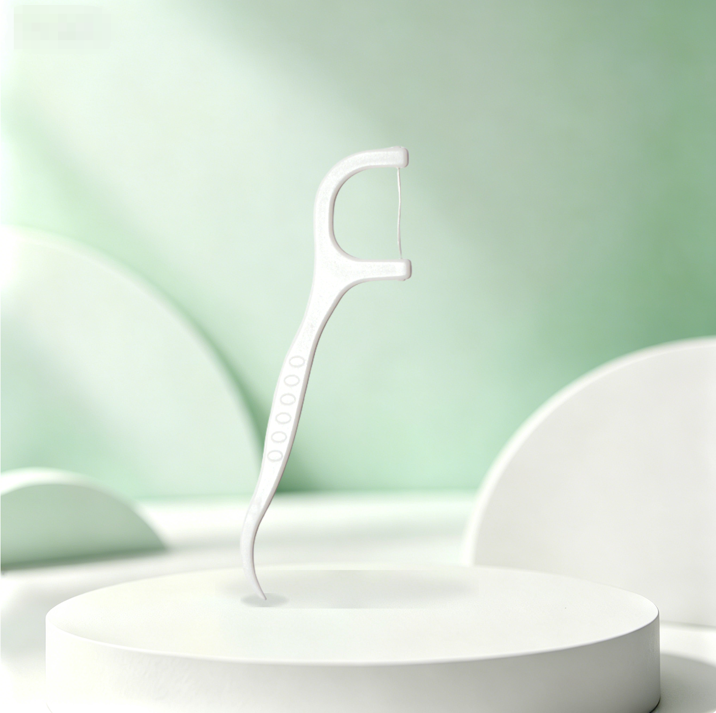 Adult Dental Floss Picks