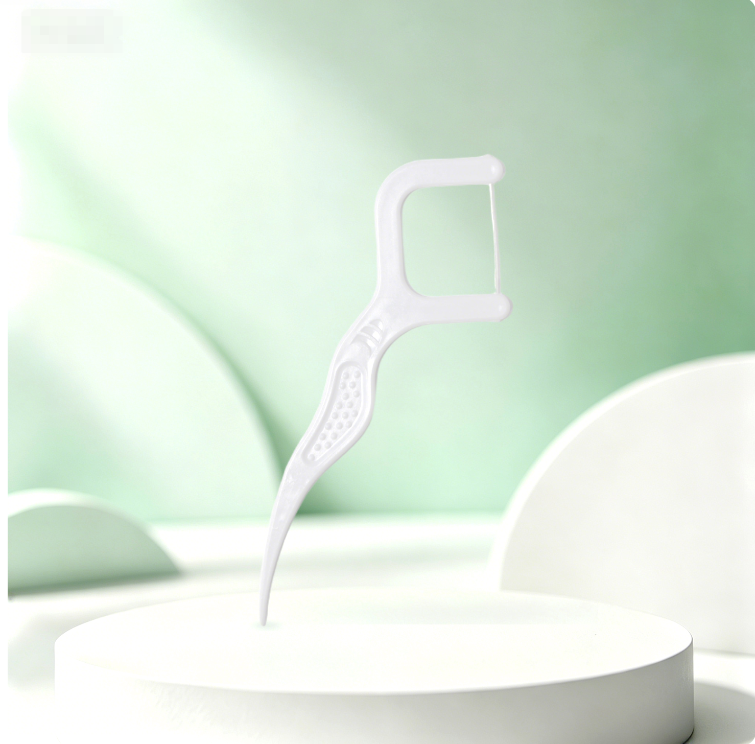 Adult Dental Floss Picks