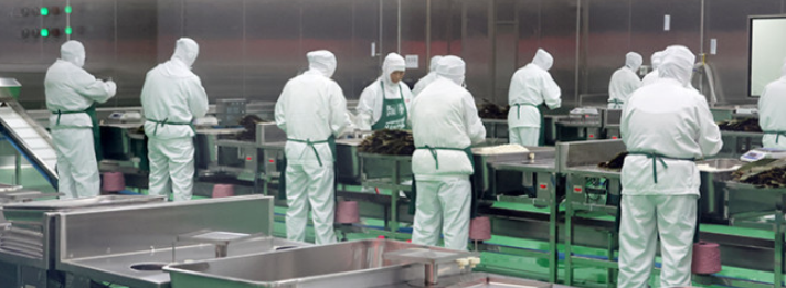 某知名食品加工厂自动化生产线 现场3