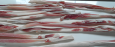 鲜肉切条机 1