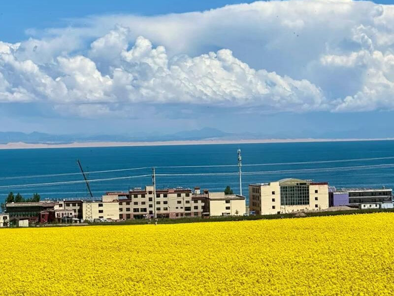 青海湖 3