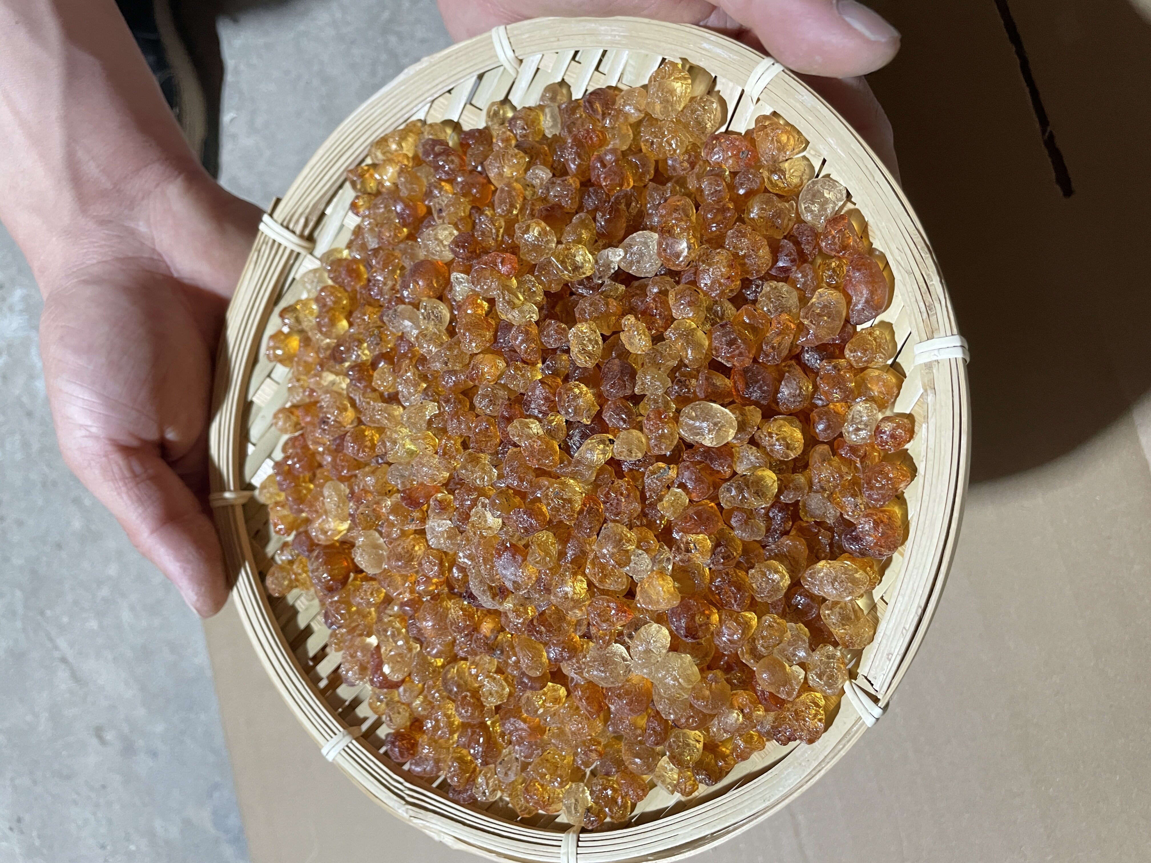 孕妇为什么不能吃桃胶？新食品原料的食用注意事项