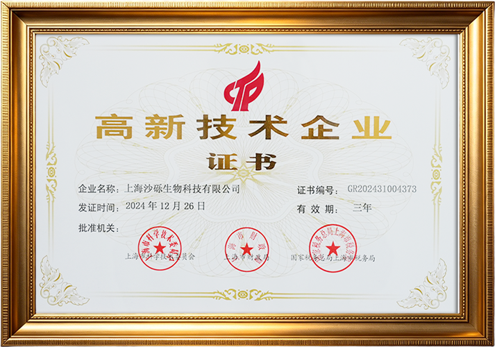 2024高新技术企业证书