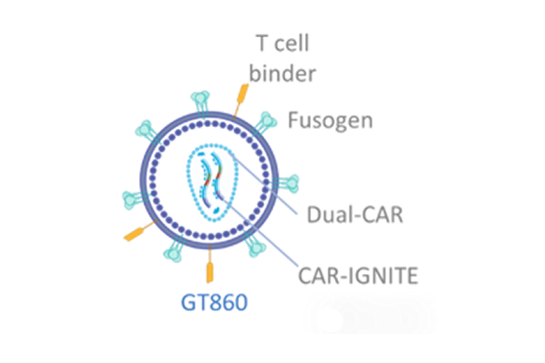 慢病毒路线原理示意图