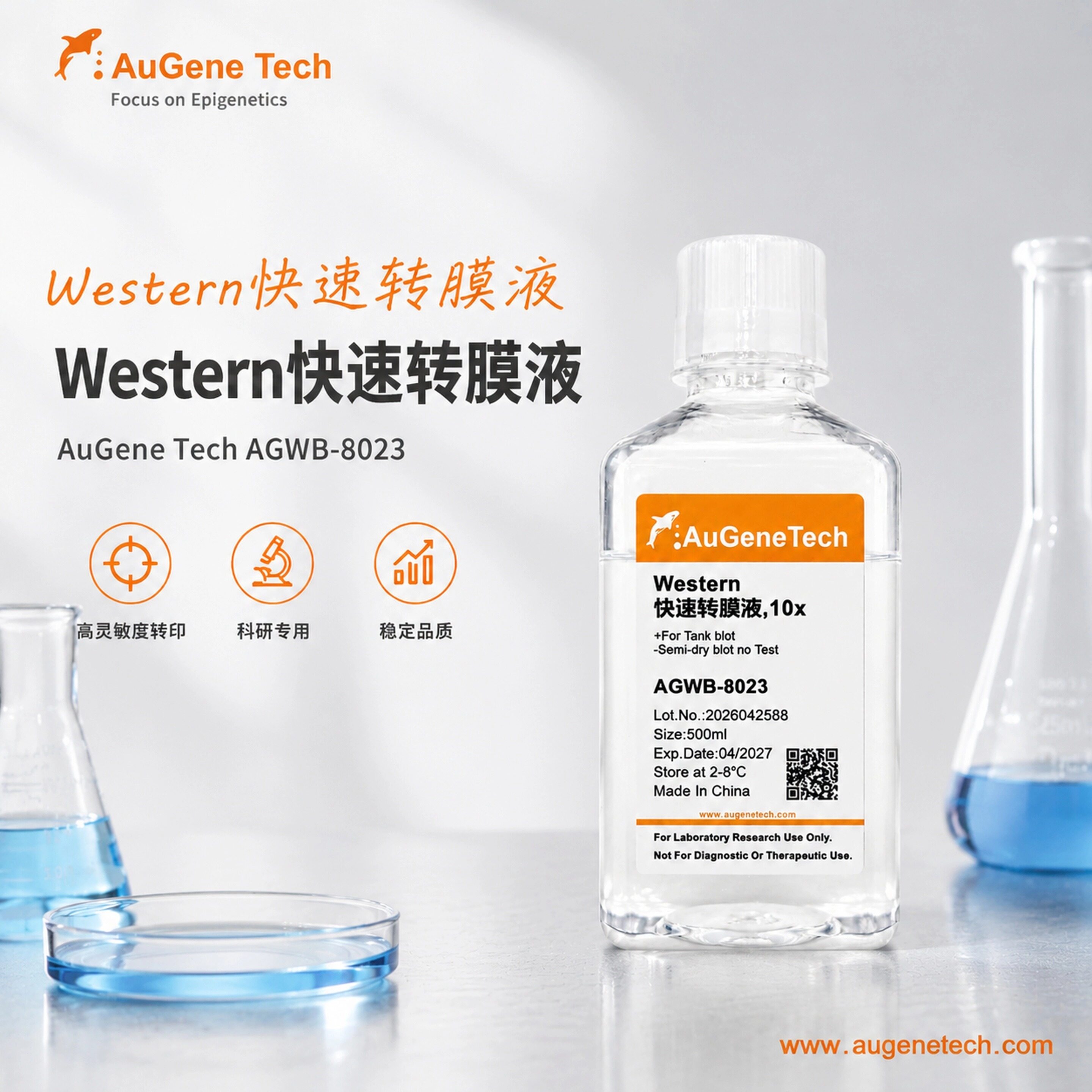 Western 快速转膜液,10x