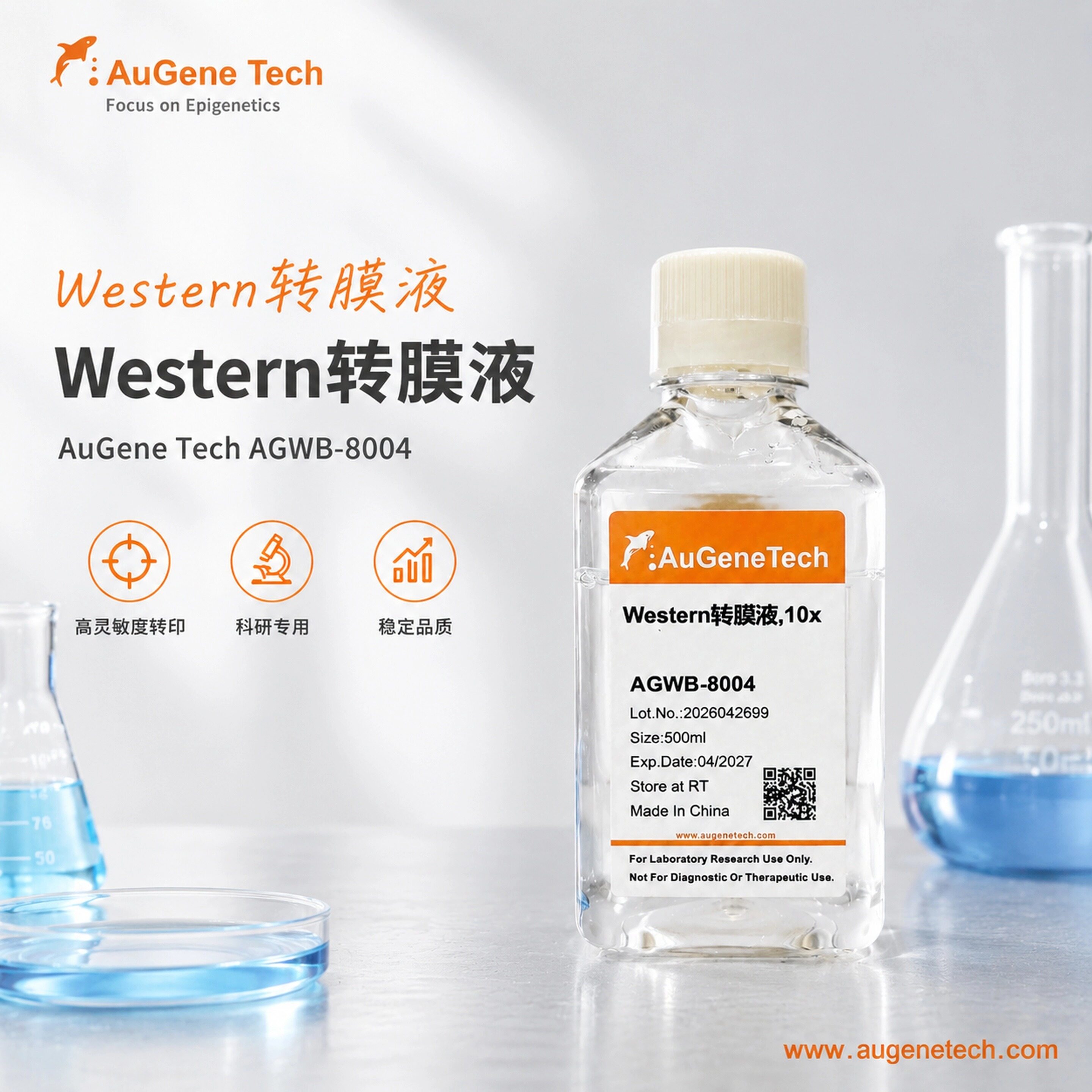Western 转膜液,10x