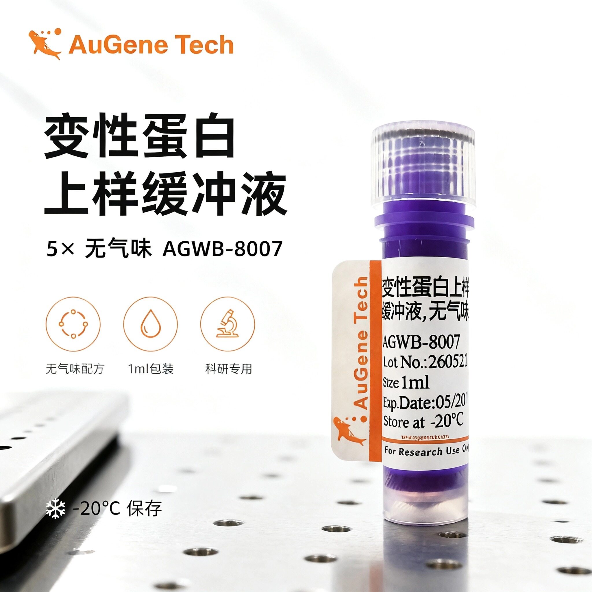 变性蛋白上样缓冲液(5×)，无气味