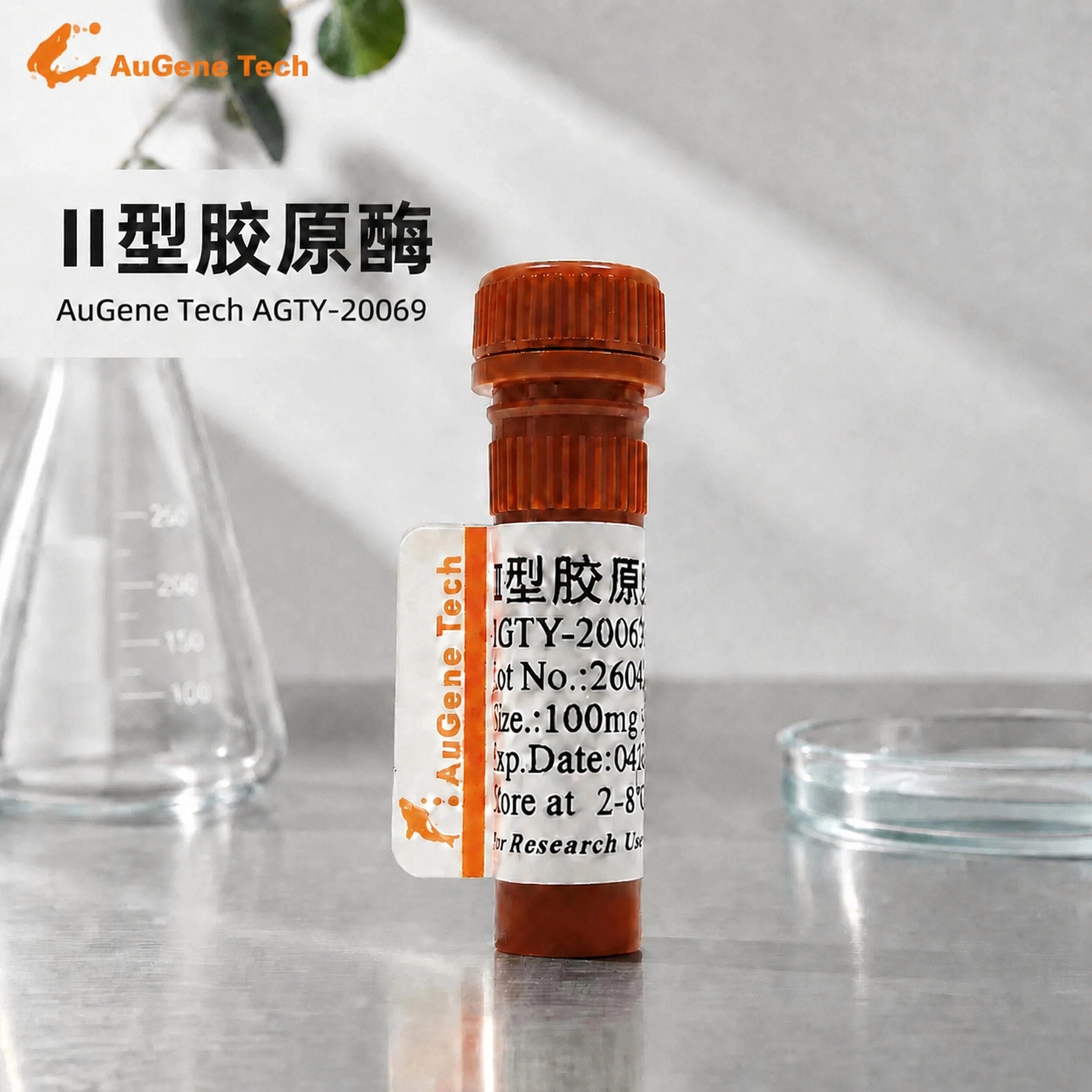 II型胶原酶