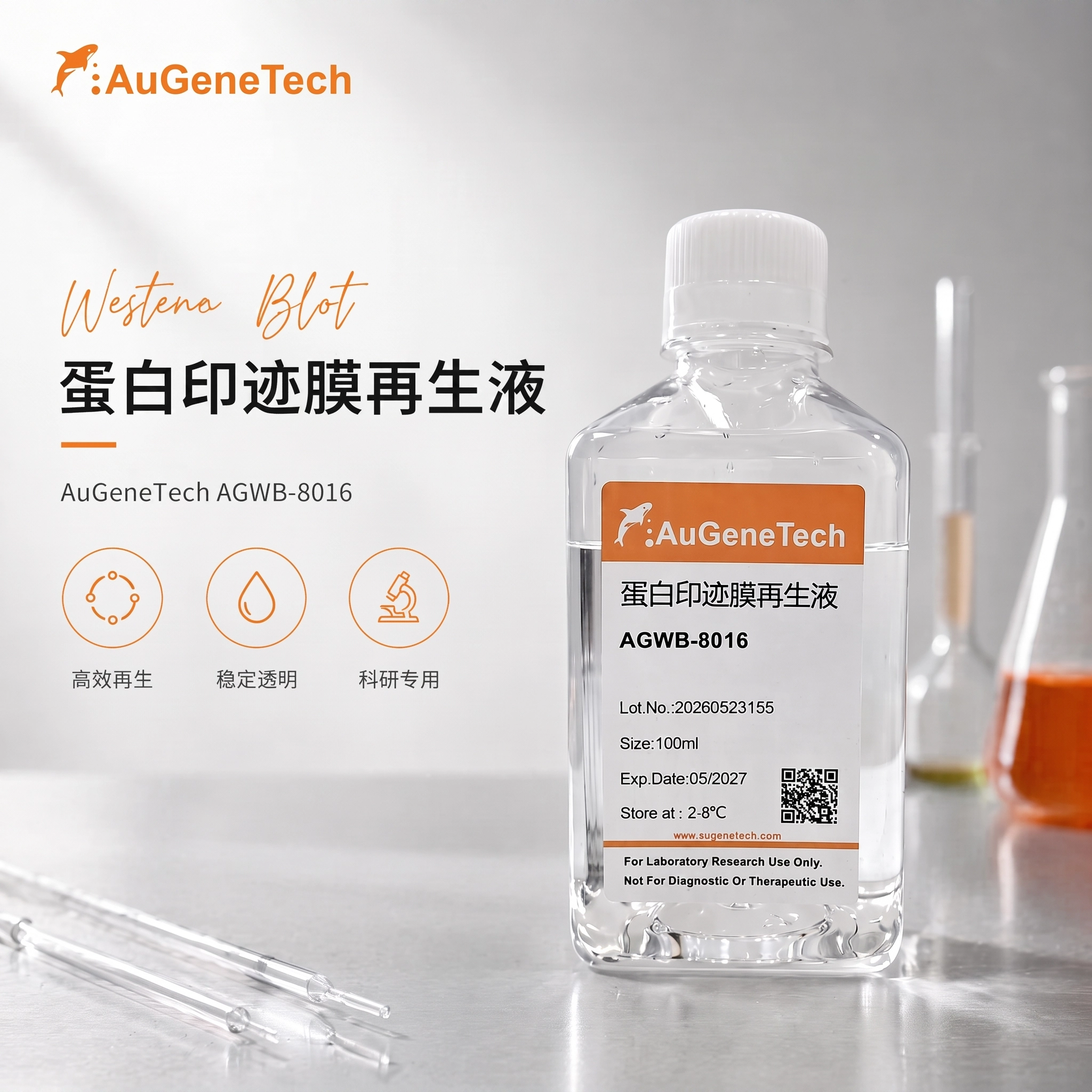 蛋白印迹膜再生液（无气味）