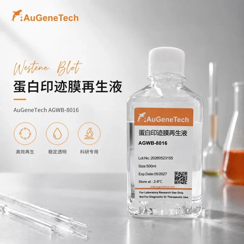 蛋白印迹膜再生液（无气味）