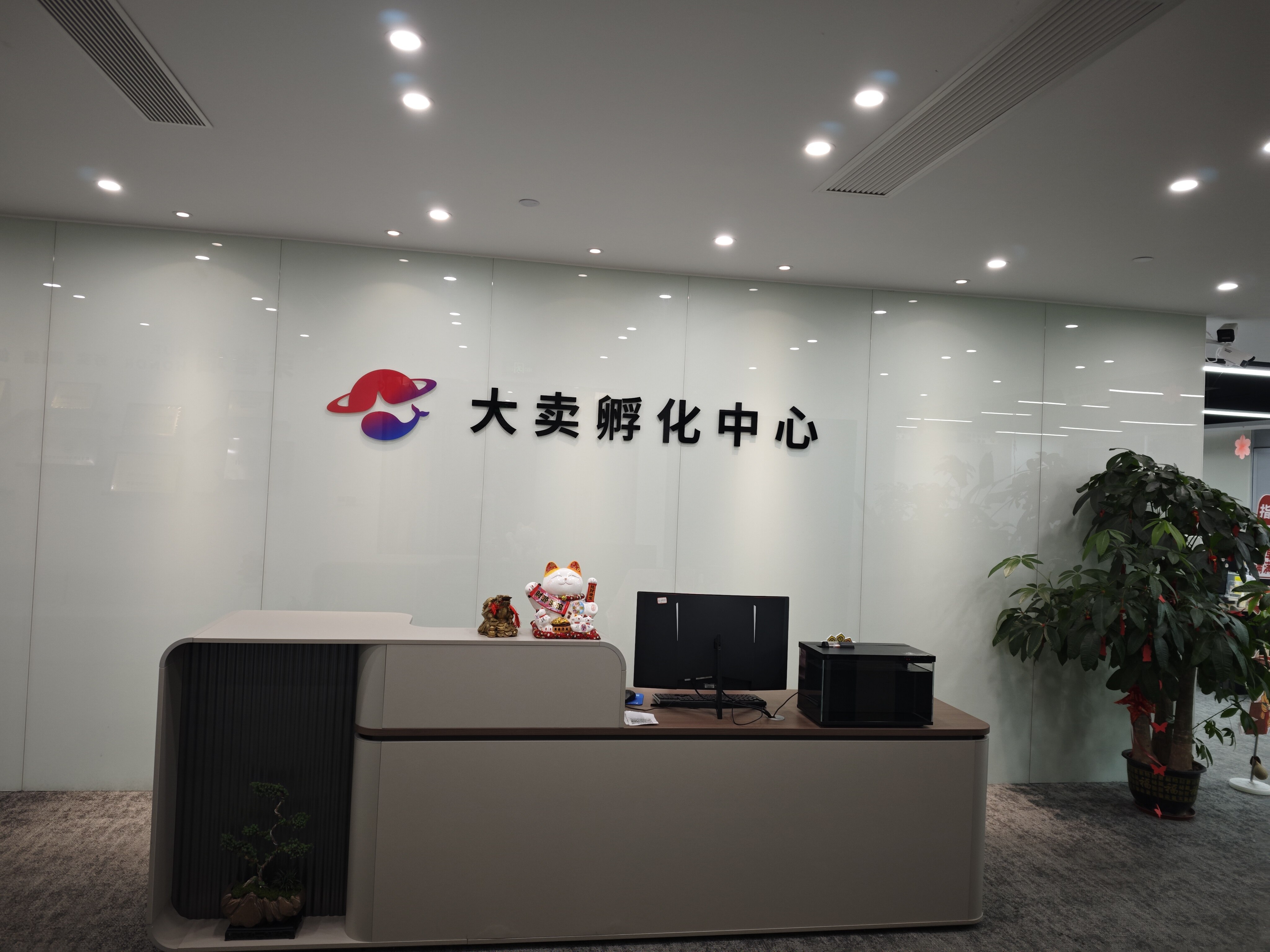 Company Office Environment Showcase
