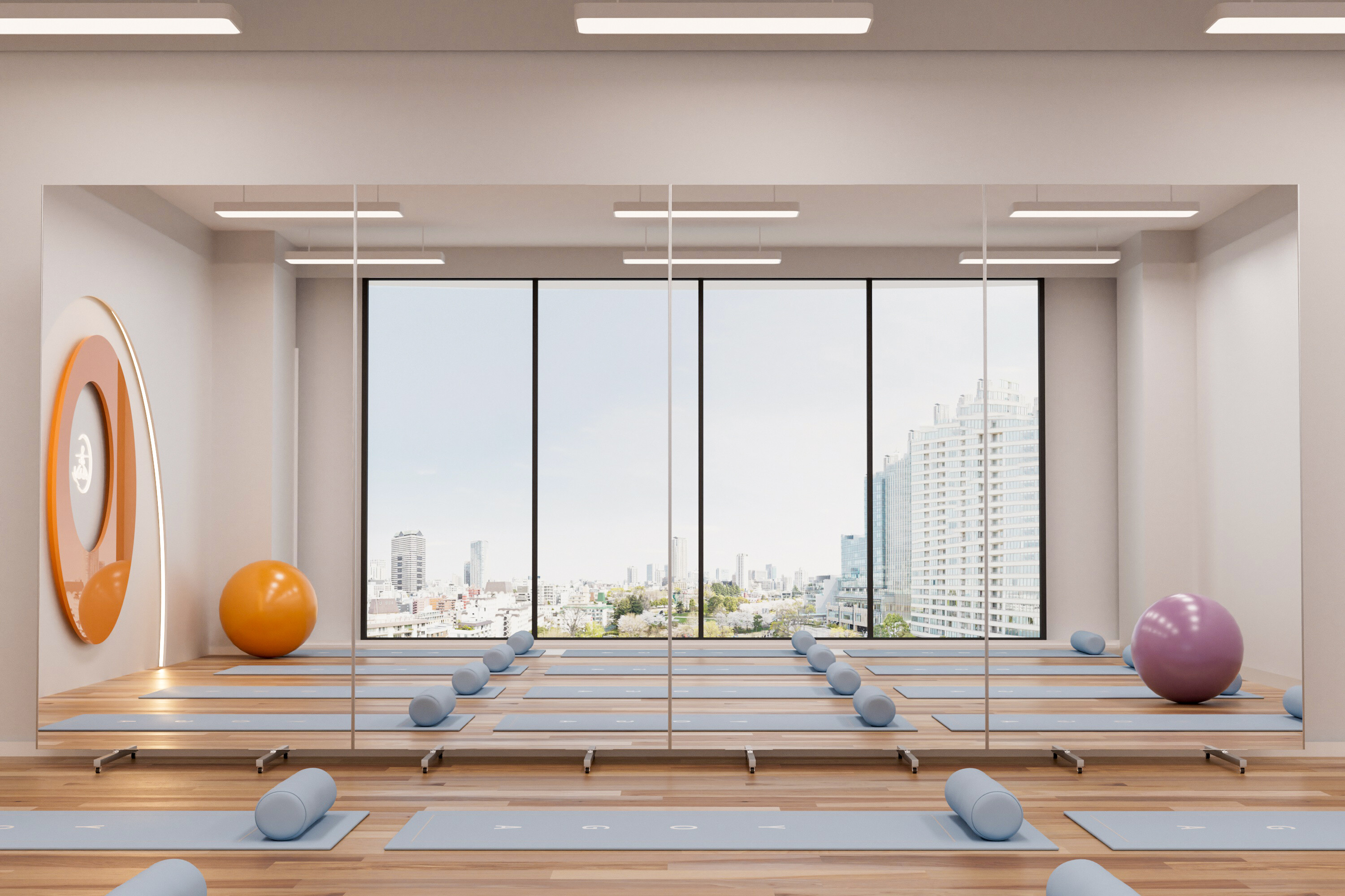 Rollaway Glassless Mirror Partition alternate view
