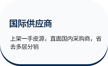 全球供应链网络