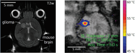 MRI-Compatible Small Animal Ultrasound System