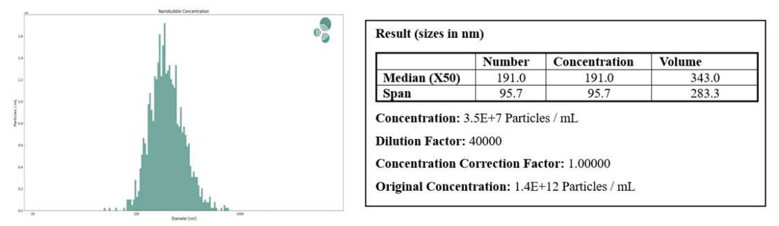 Nanobubble Microstructure