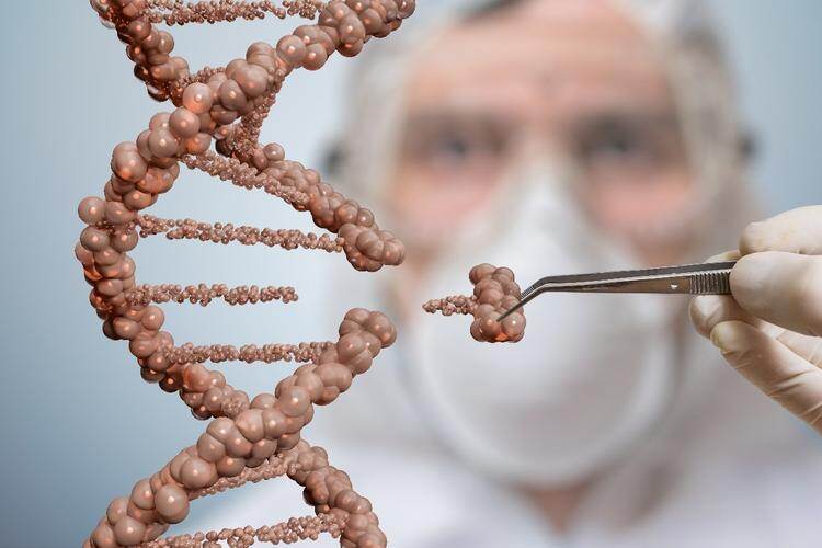 麦角硫因 +:口服美容的黄金复配,是科学还是营销陷阱?