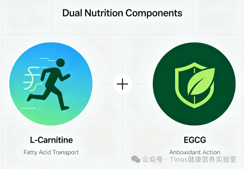 EGCG易降解、左旋肉碱易吸湿,超分子技术如何破解这类复配局限?
