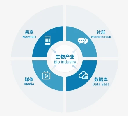 Imabio Medical: A Biomedical Industry Ecosystem