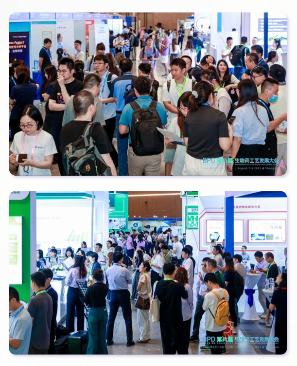 Audience visits and networking at the exhibition