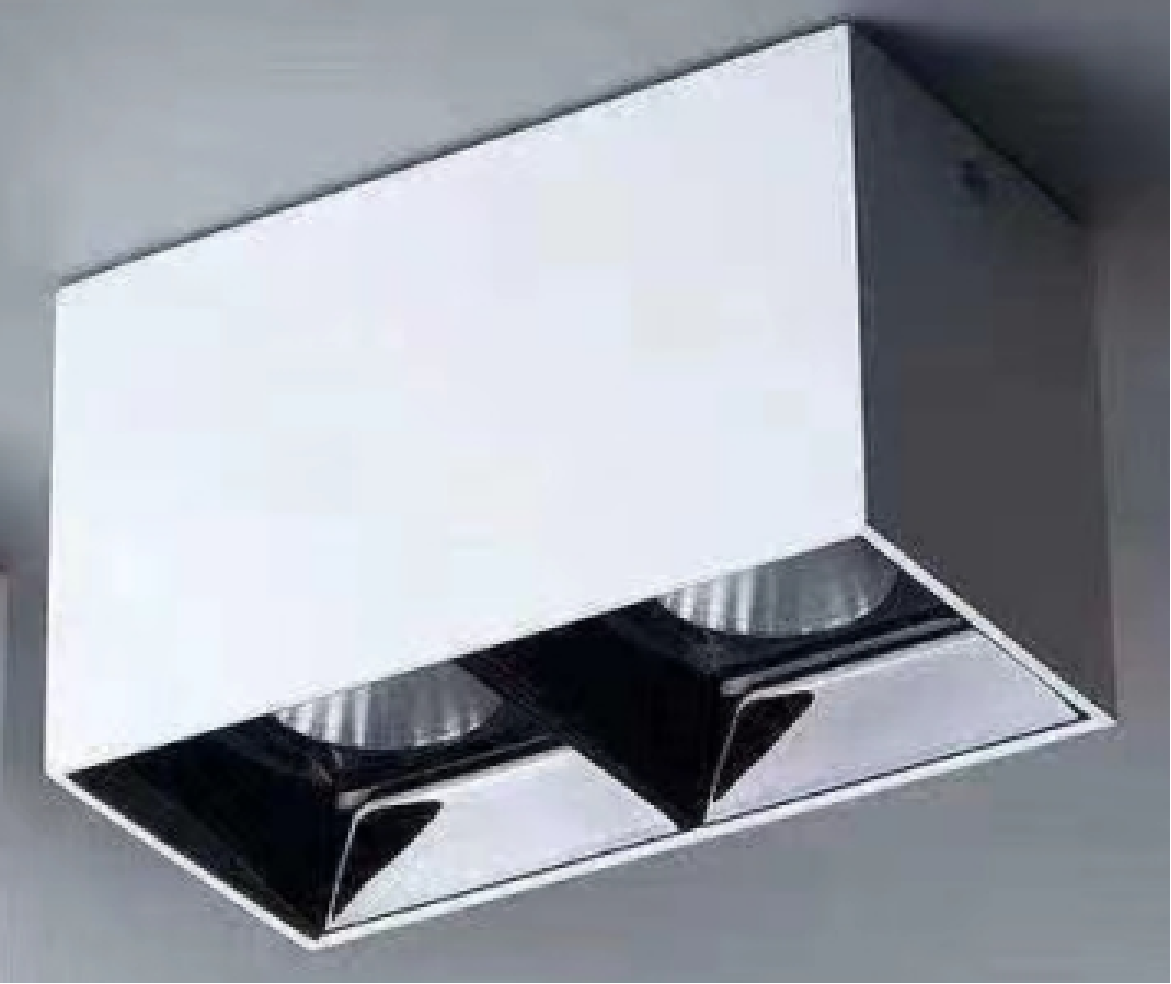 TC-XF302 Modern Minimalist Double-Head Surface Mounted LED Spotlight - Thumbnail 4