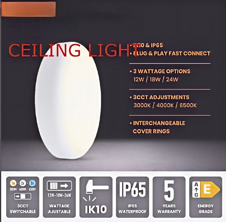 IP65 IK10 LED Ceiling Light - 3CCT panel light