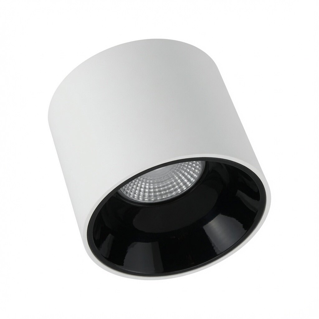 TC-XF-301 High CRI Surface Mounted LED Downlight