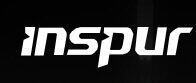 Inspur logo