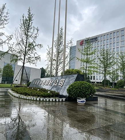国航西南分公司