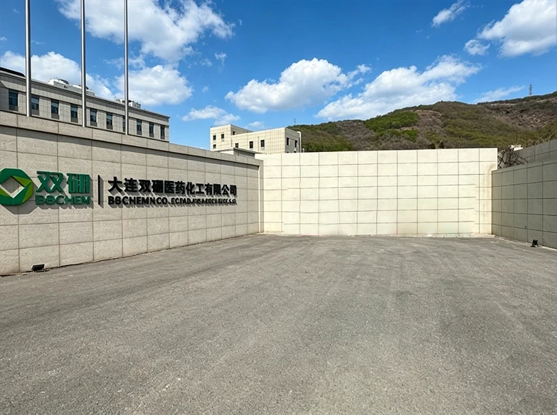 大连双硼医药化工