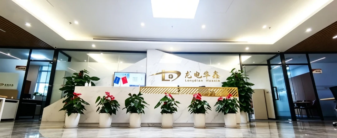 龙电华鑫集团