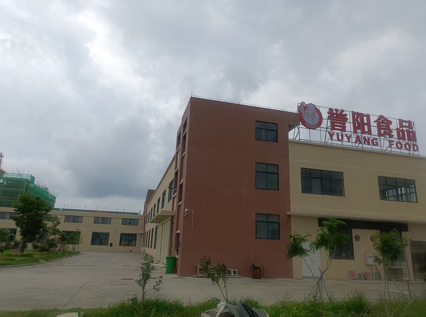 企业历史
