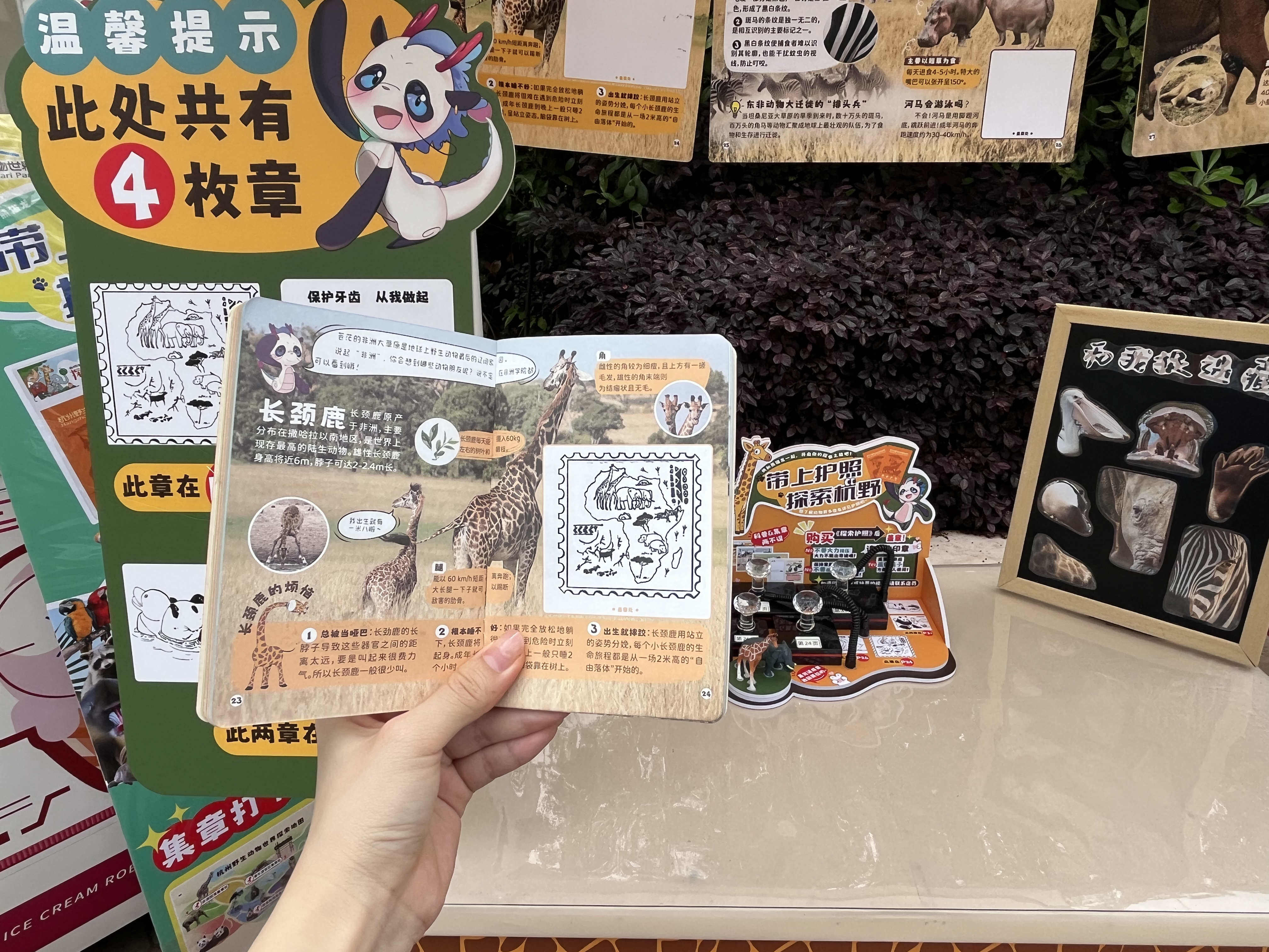 动物园探索护照