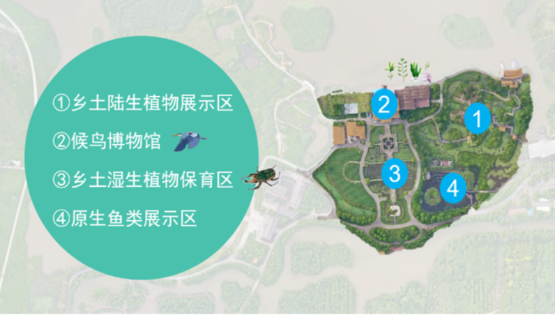 湿地万象-主题场景提升