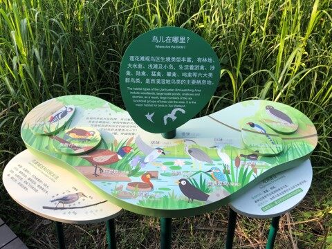 湿地公园生态导览系统