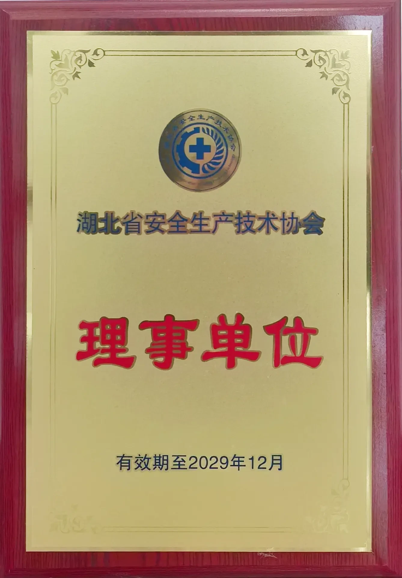 湖北省安全生产技术协会理事单位牌匾