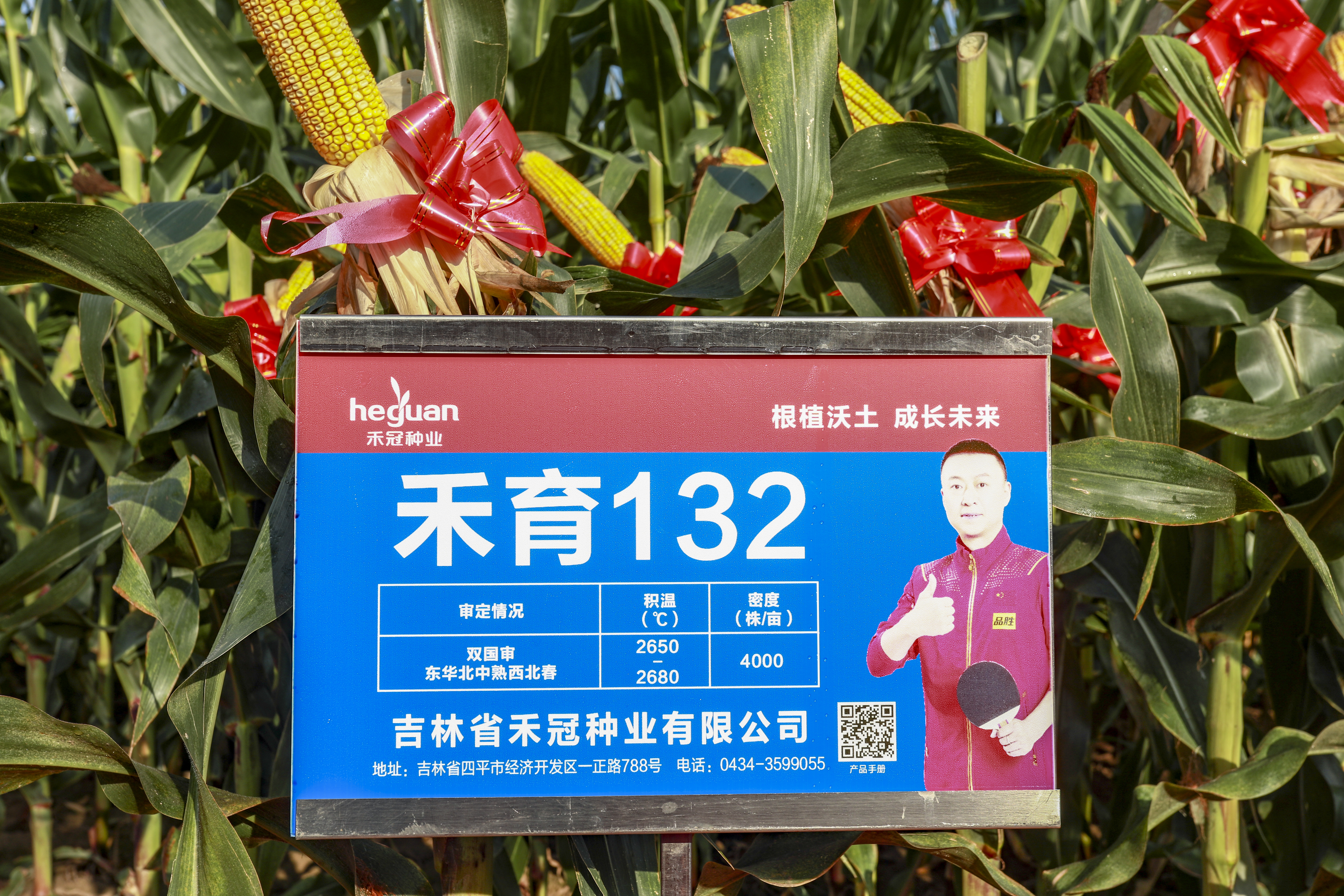 禾育 132