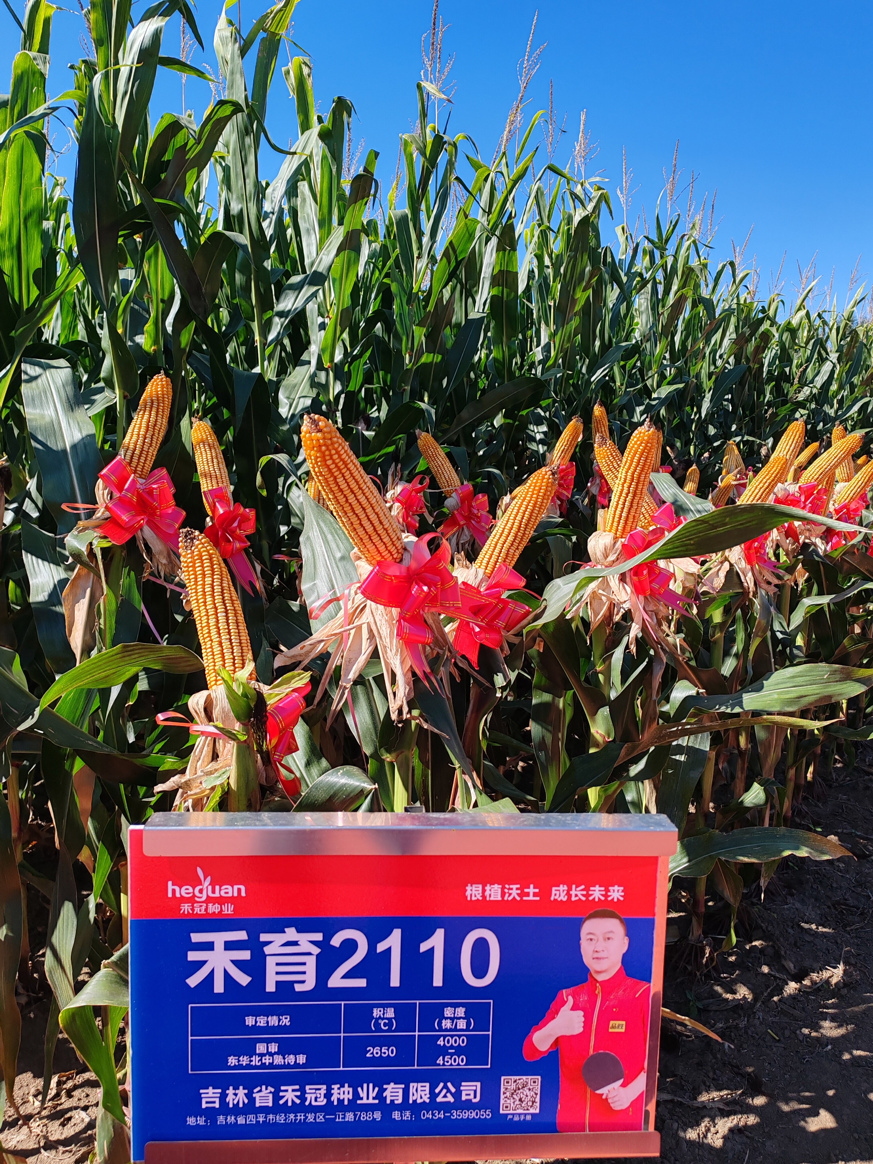 禾育 2110