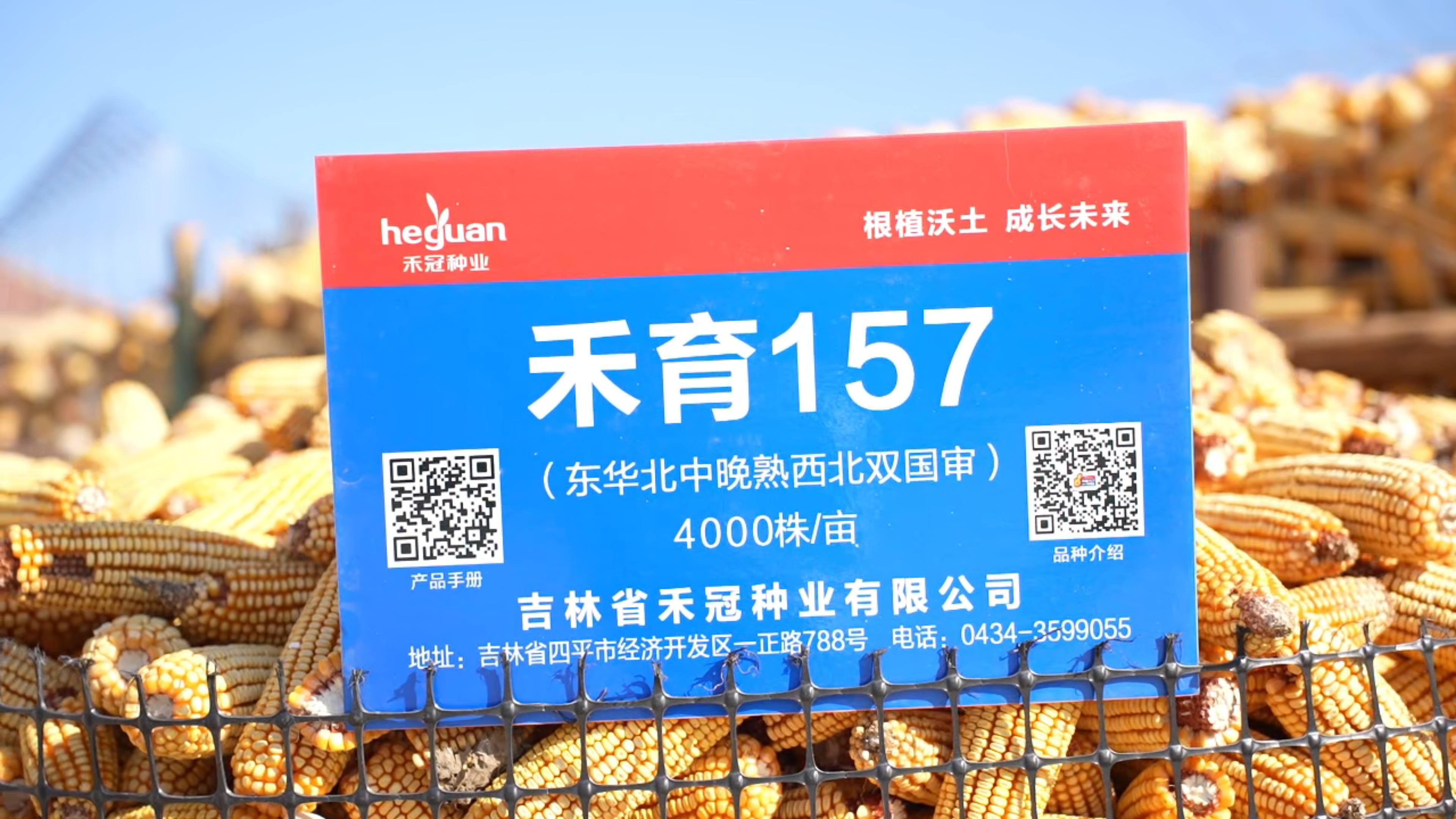 禾育 157