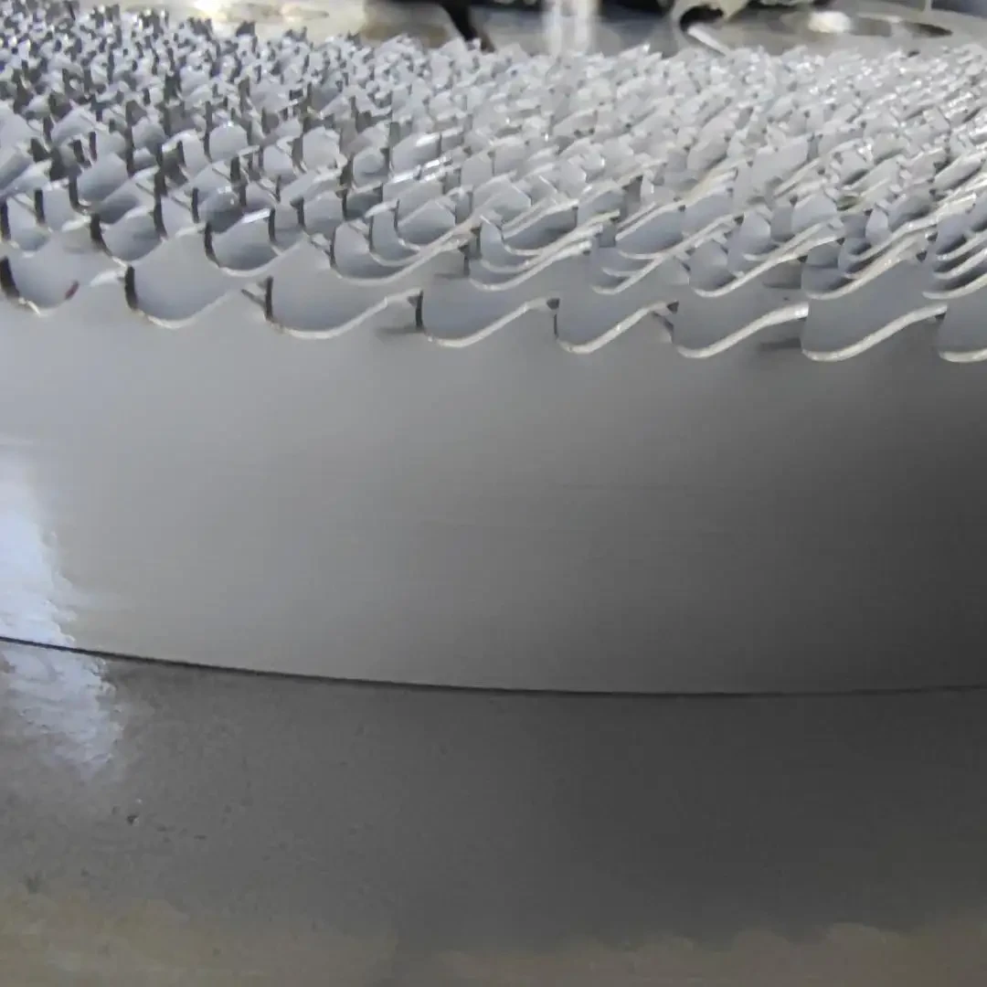 Carbide-tipped bandsaw blade 41 mm wound into a coil