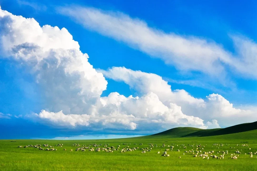 Love Every Landscape, Protect Every Plot | Photo Contest for Farmland Conservation Activities