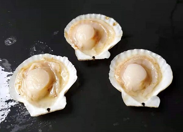 Half-shell Scallops