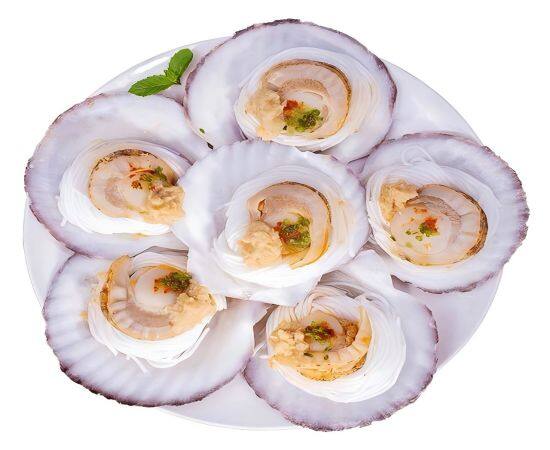Fans Clams