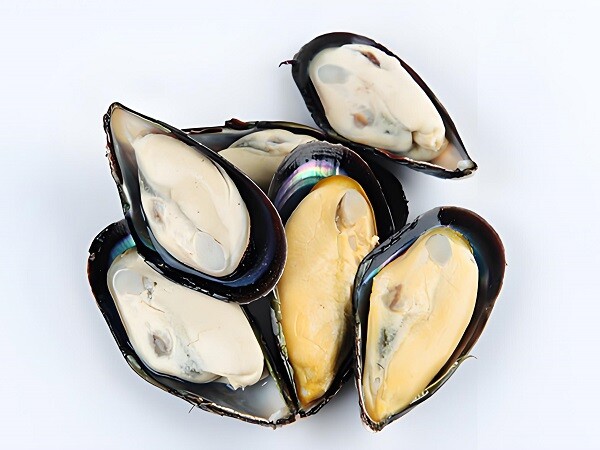 Blue Mussels