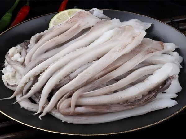 Squid Heads